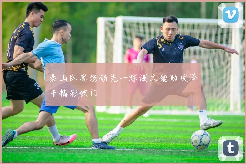 泰山队客场领先一球谢文能助攻泽卡精彩破门